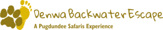 DENWA-BACKWATER-ESCAPE