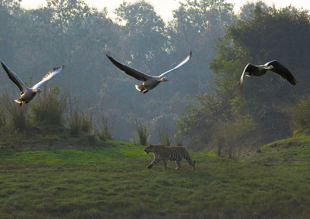 gates and zones of satpura