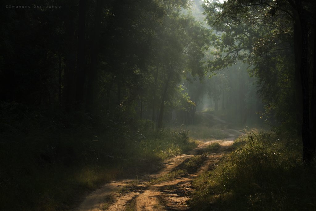 Satpura National Park