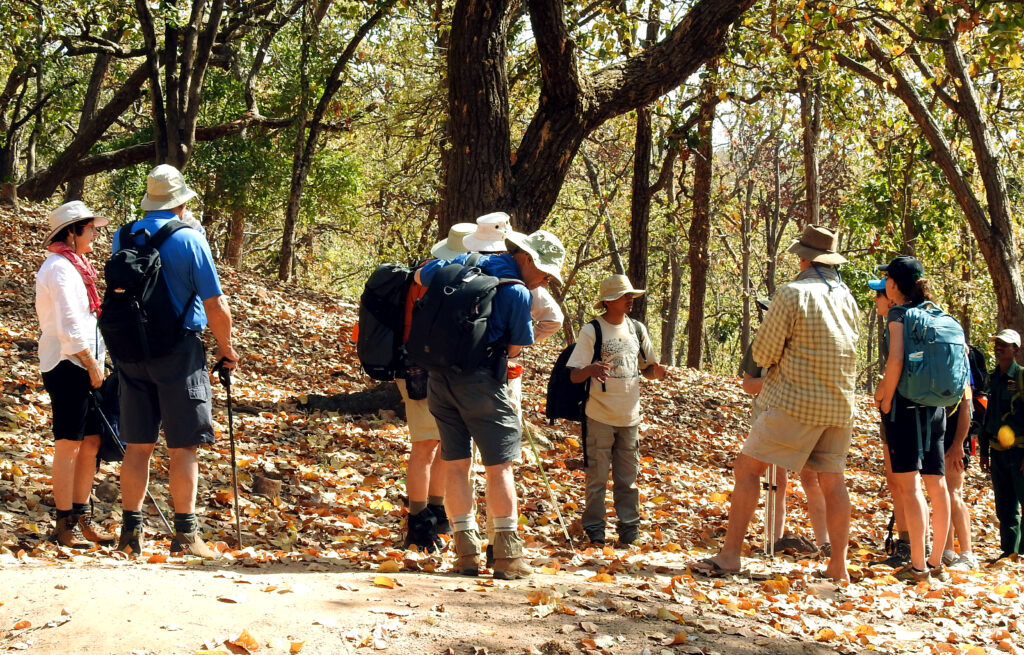 Walking on Forsyth trail in Satpura National Park